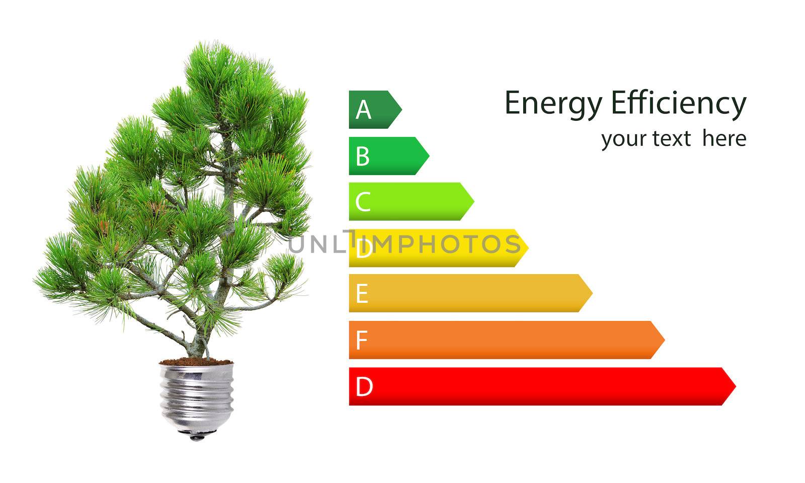Energy efficiency rating and green lightbulb concept isolated over white
