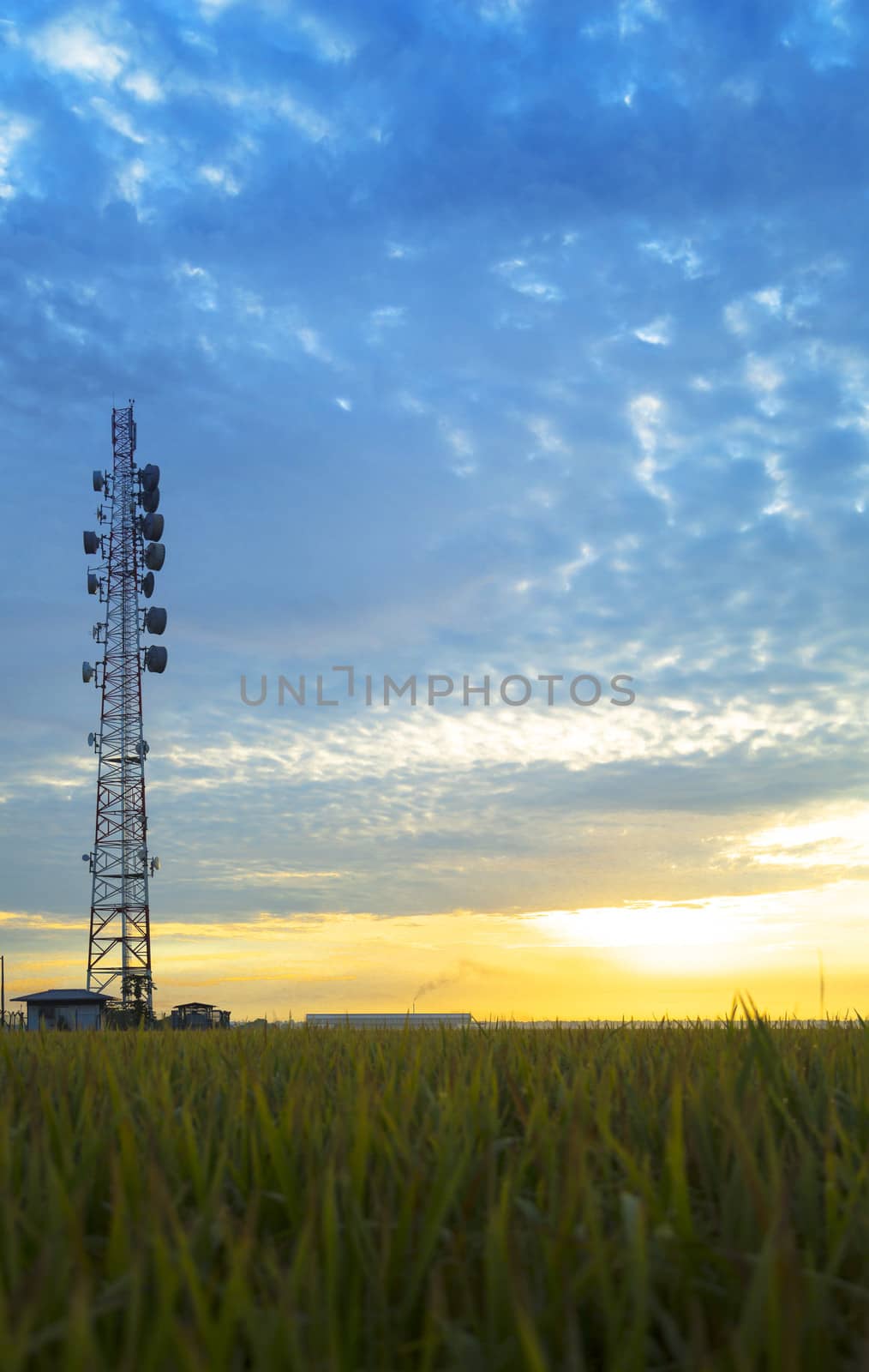 Vertical shot Radio Station Antenna over Paddy Rice field during Sunrise at Malaysia, Sekinchan