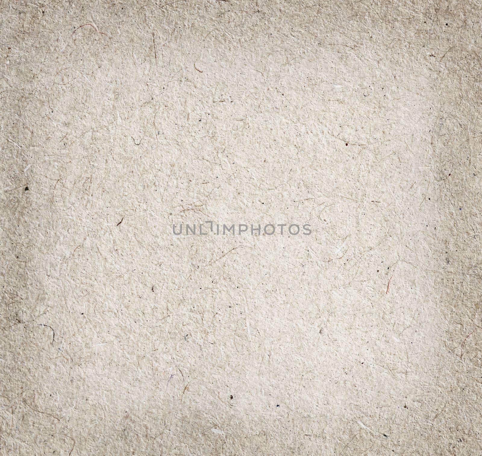 Old paper texture background. Close up