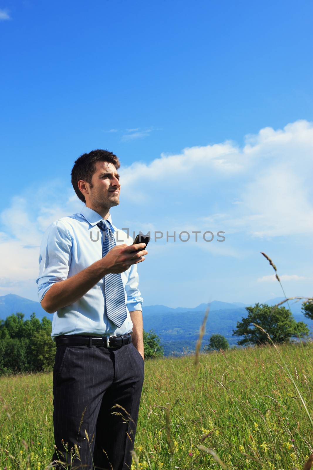 Businessman using smart phone in the meadow on a sunny day