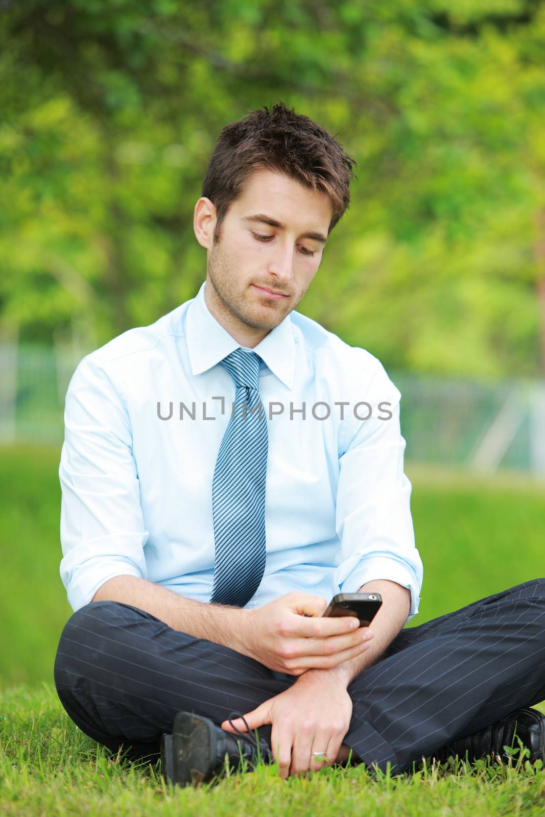 Young business man sitting on meadow using a smart phone