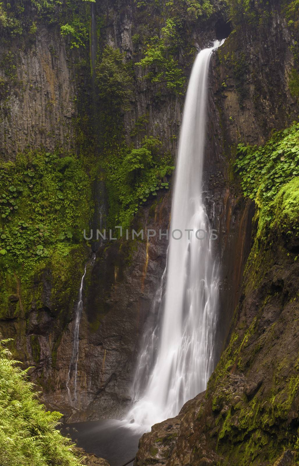 Catarata del Toro waterfall in Costa Rica drops 300 feet into the gorge below.