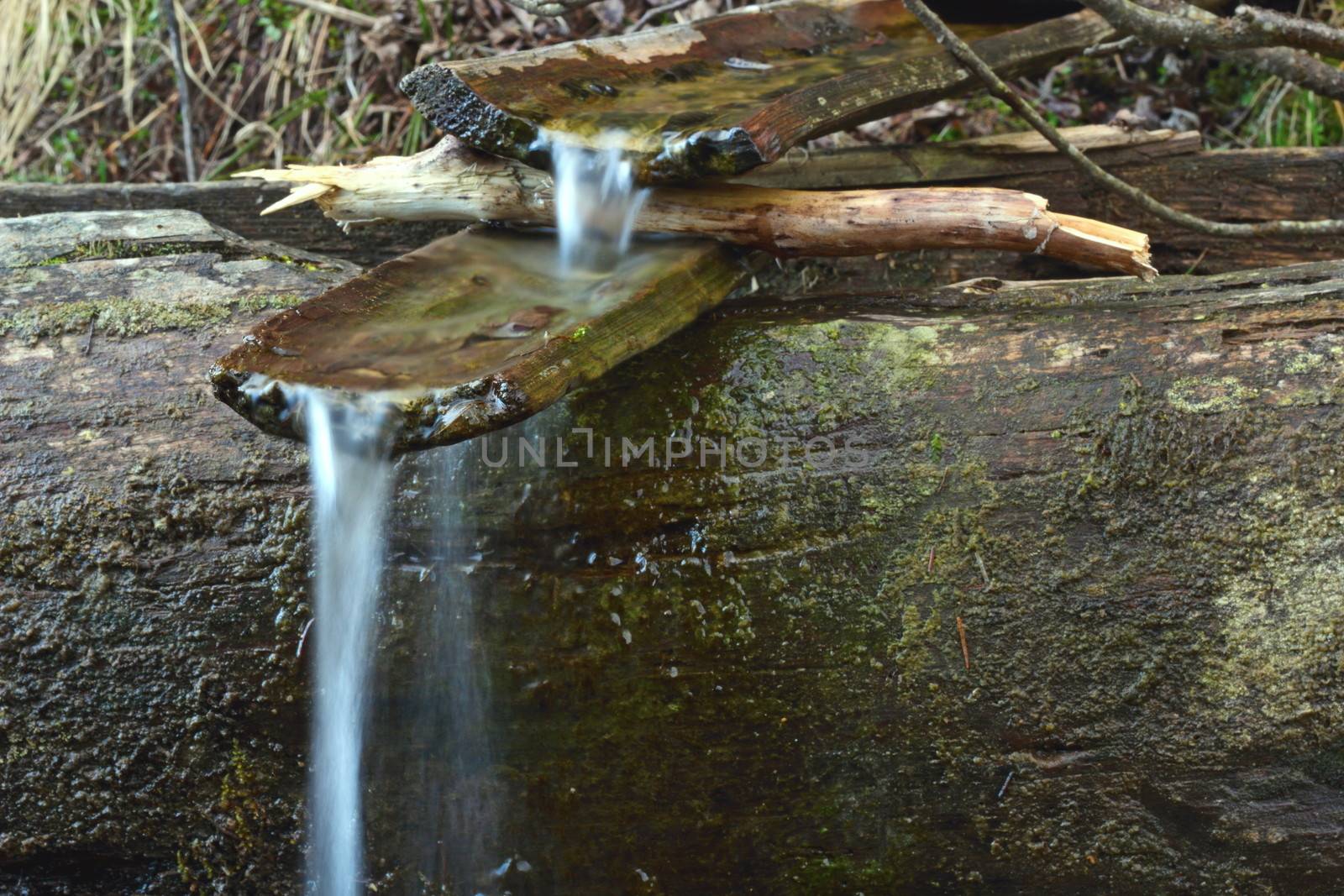 archaic spring with wooden channel by taviphoto