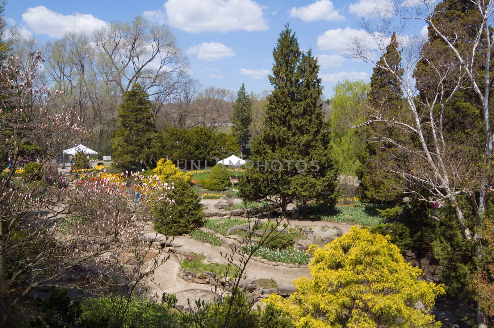 Spring time in one of Ontario park