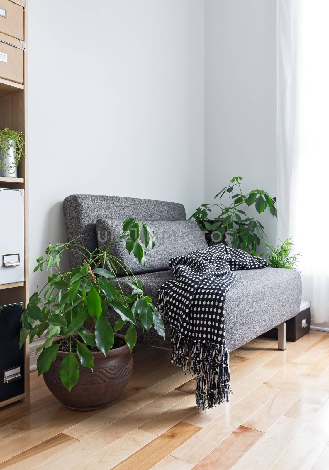 Living room with comfortable armchair, bookcase and green plants.