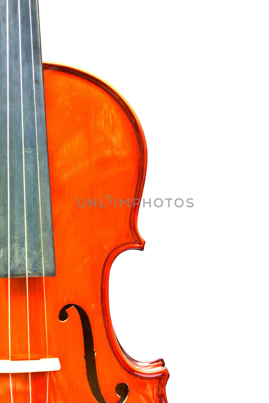 violin isolate on white background