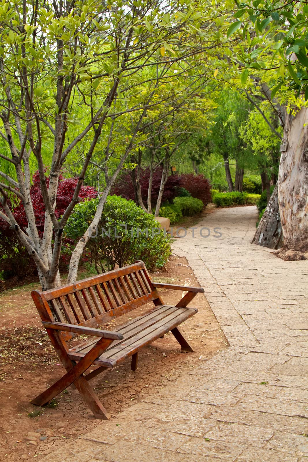 Bench in the park and path through a tree