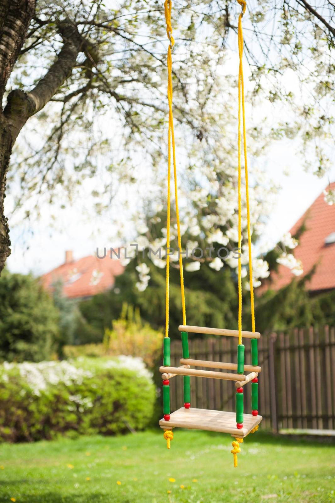 Tree swing for a child hanging on a tree branch