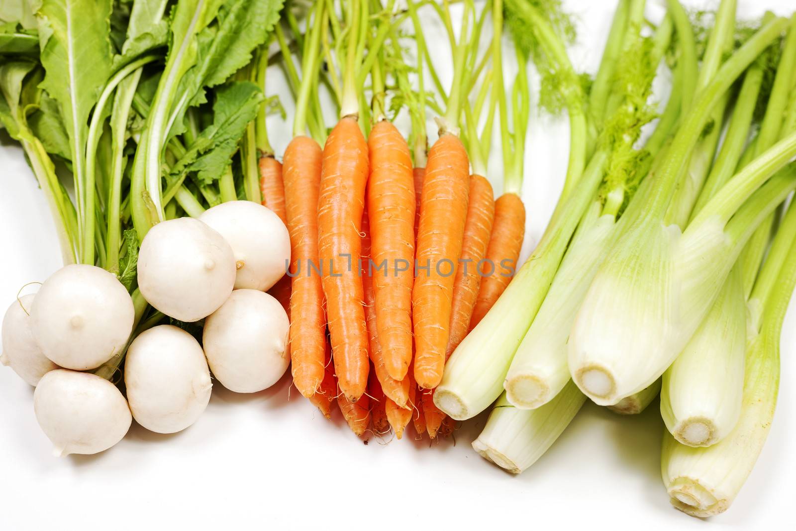Turnip, carrot and celery from garden on white background