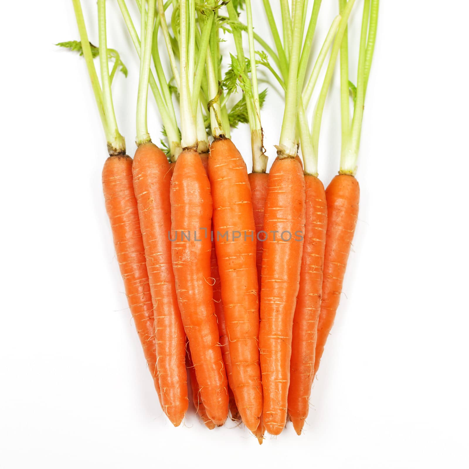 Carrot vegetable with leaves isolated on white background