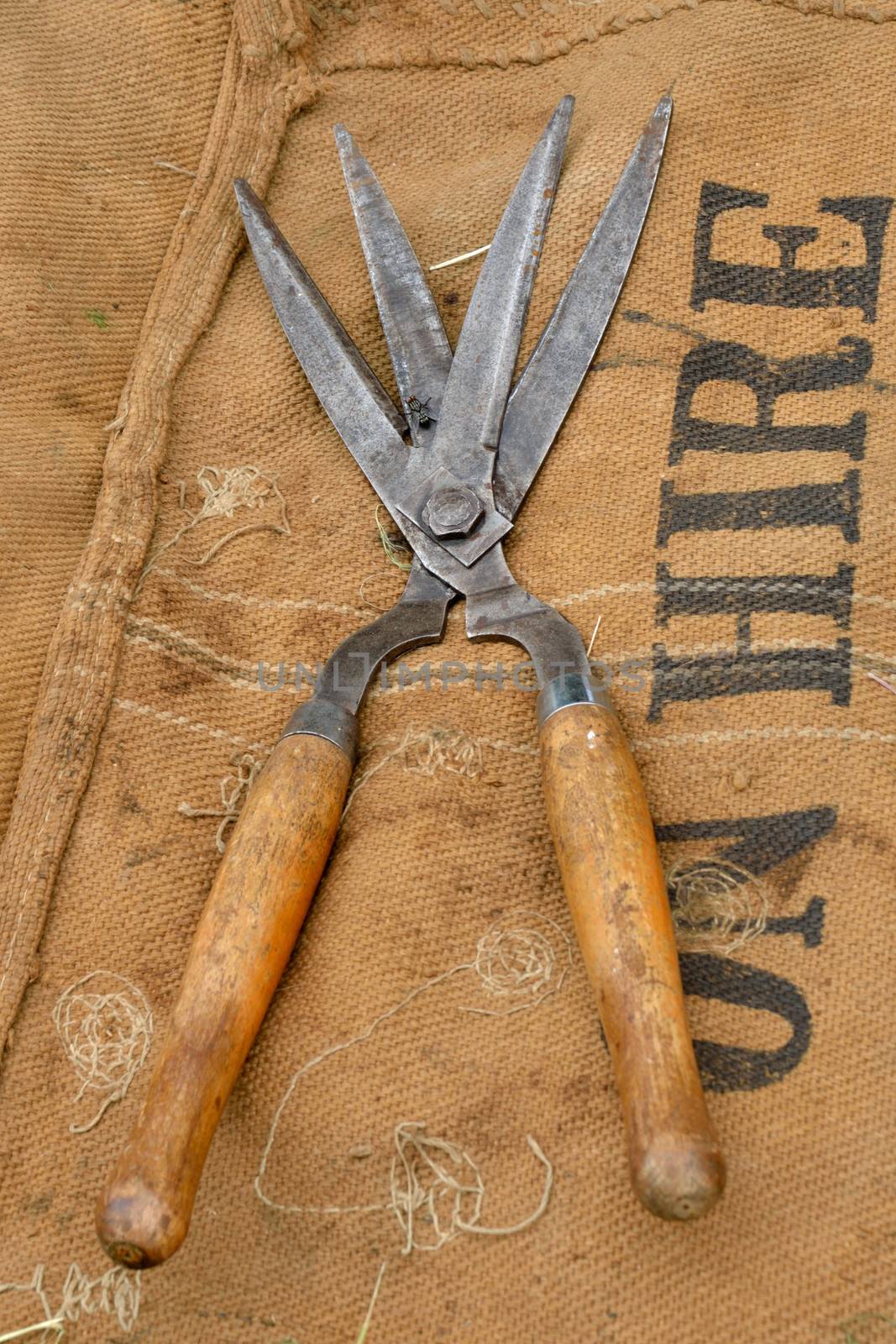 Antique shears on sack background