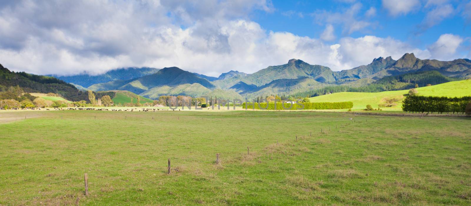 Scenic farmland framed by rugged mountains landscape on Coromandel Peninsula North Island of New Zealand