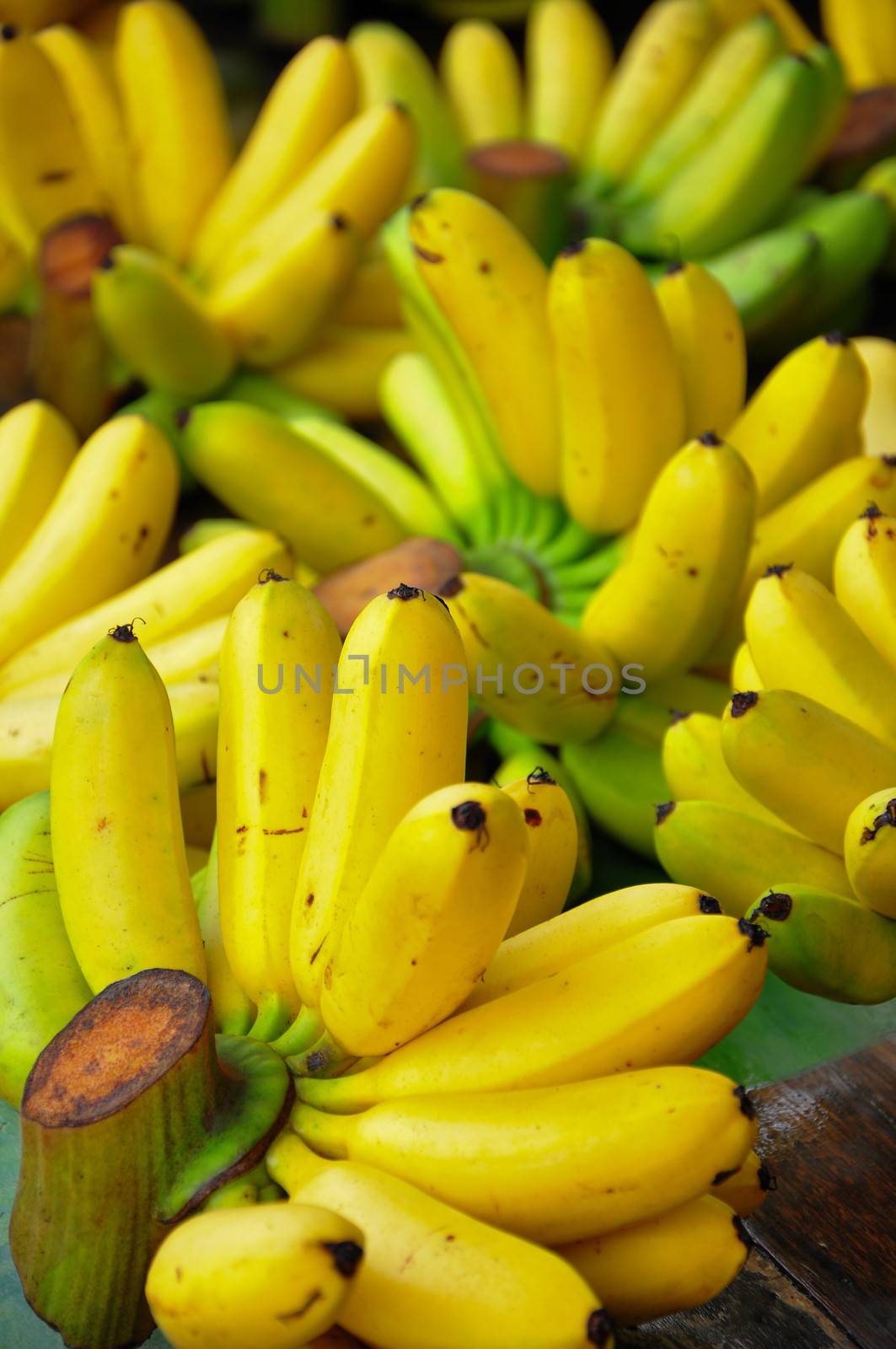 Group of Banana by letoakin