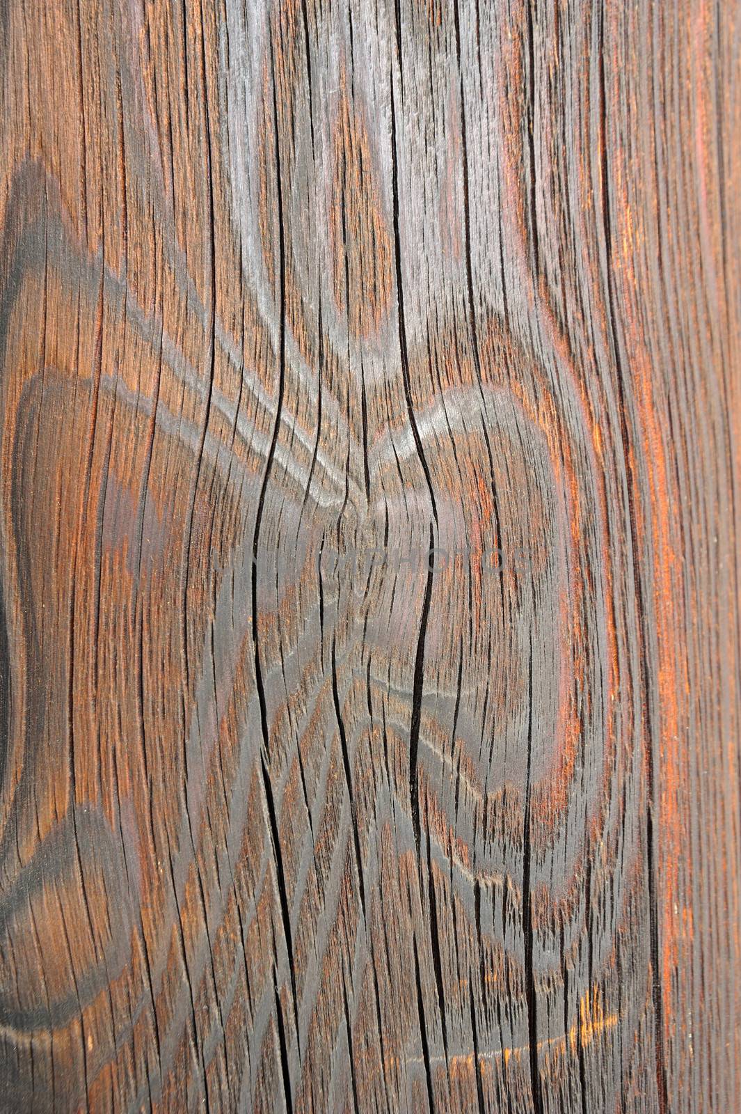 Closeup Wooden Texture