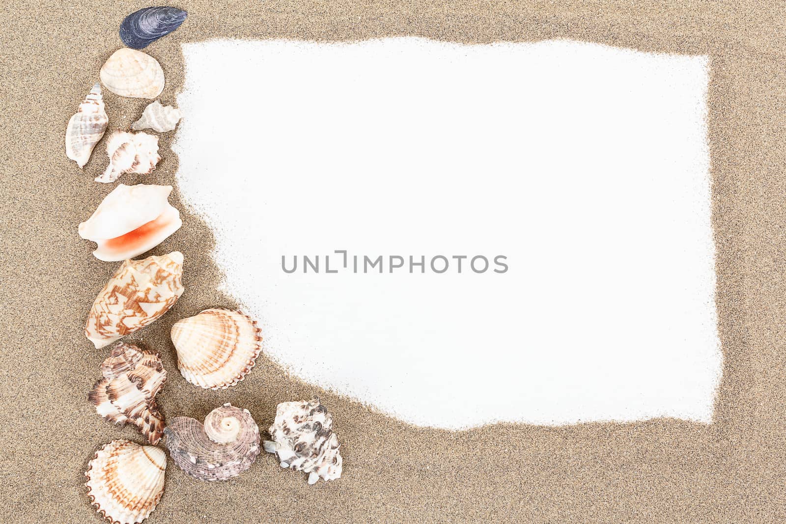 sea shells with sand and white paper as background or backdrop