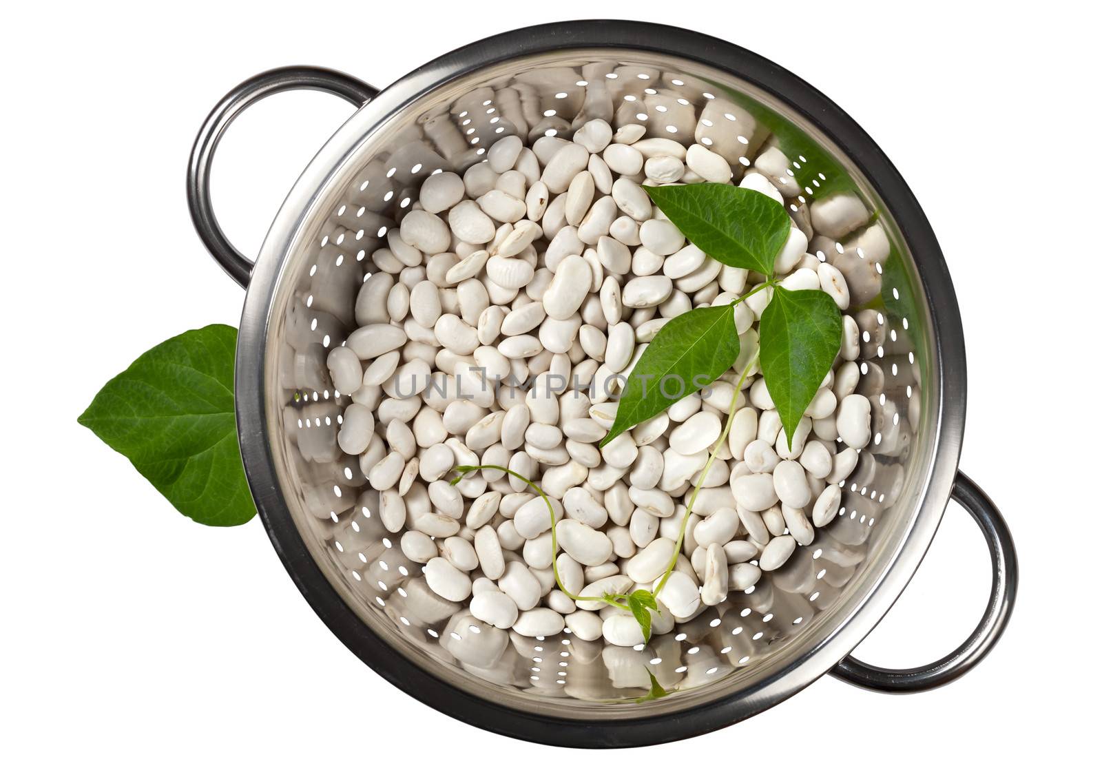 White beans in a colander with green leaves isolated on white background, top view