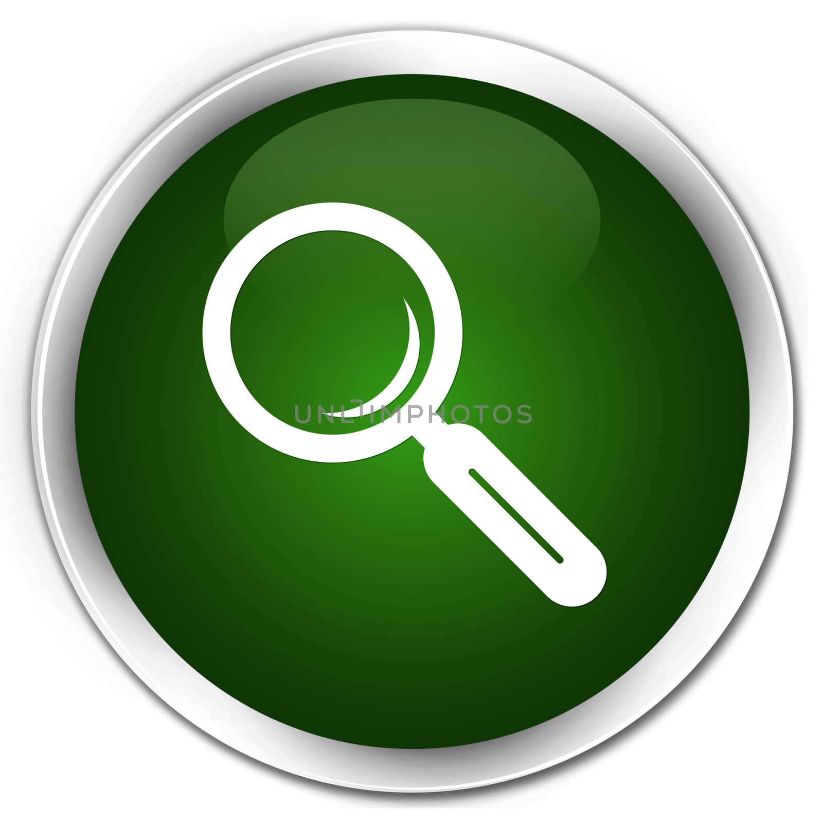 Search icon glossy green round button