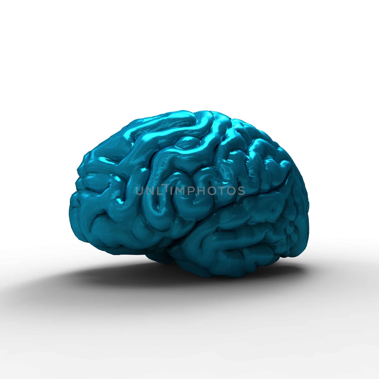 Human brain 3D model, isolated