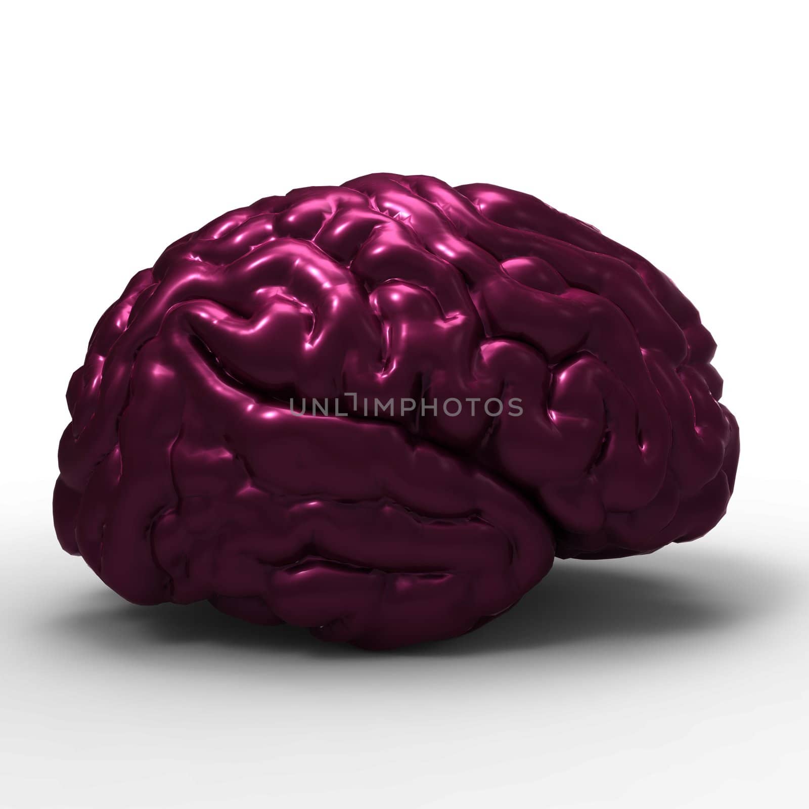 Human brain 3D model, isolated by totuss