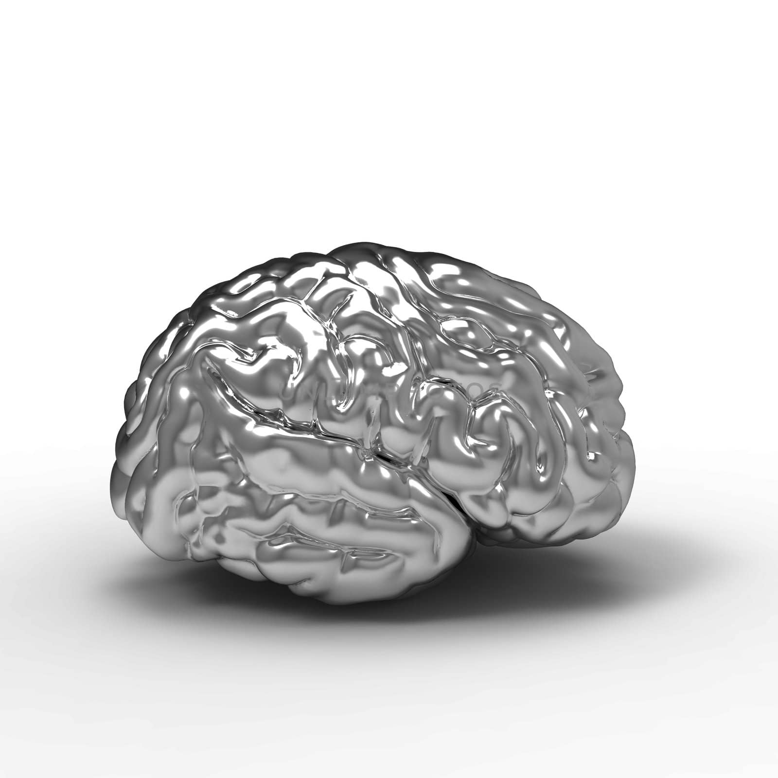 Human brain 3D model, isolated by totuss