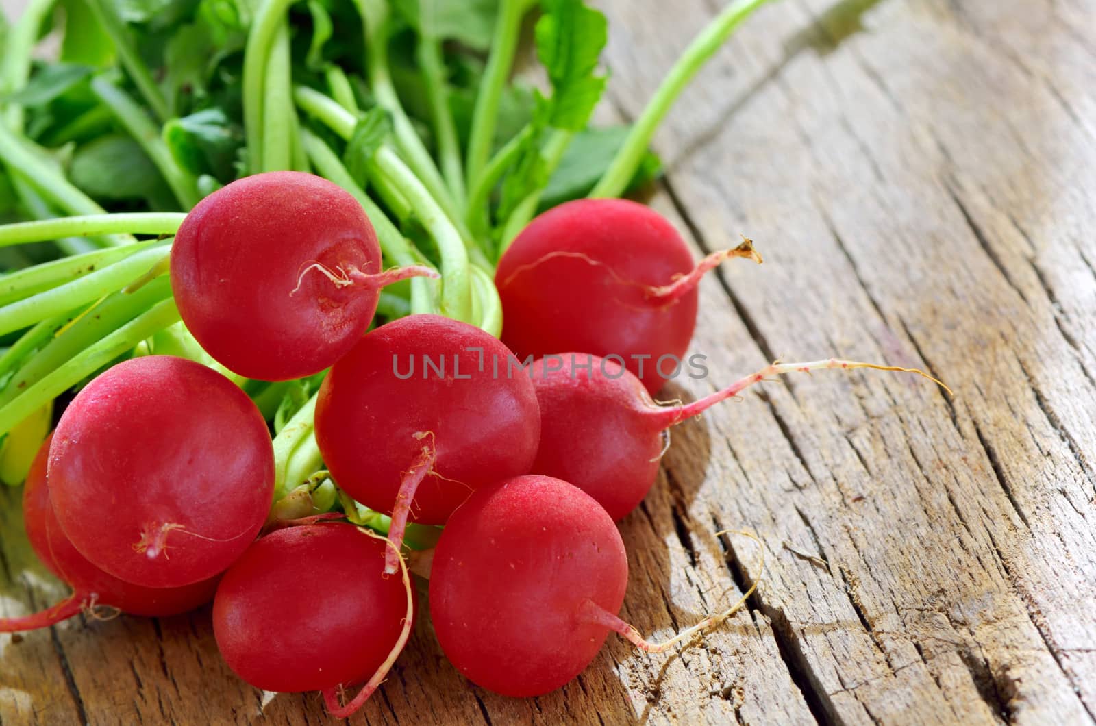Small garden radish isolated on old wooden background