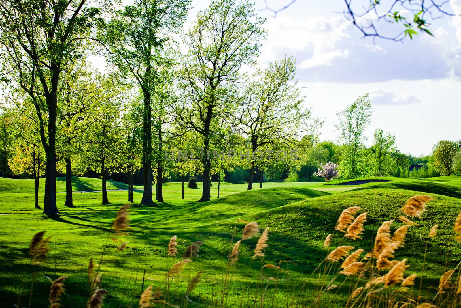 Old and beautiful bumpy golf course during the srping