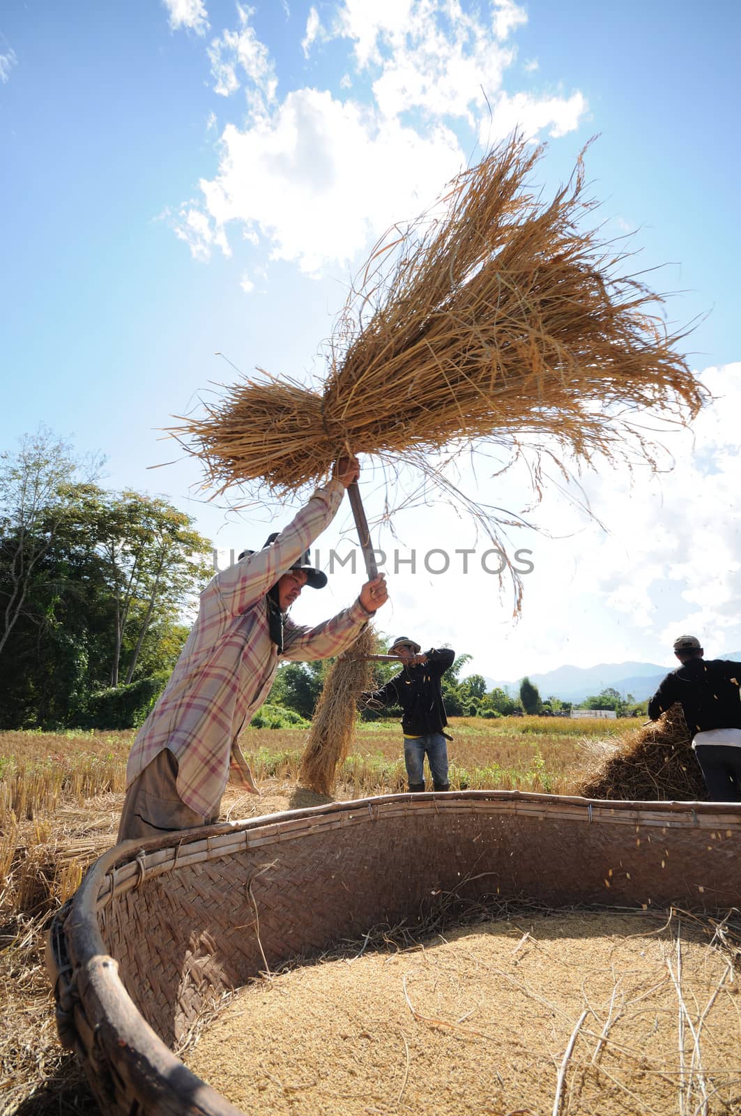 Farmer life in northern of Thailand by letoakin