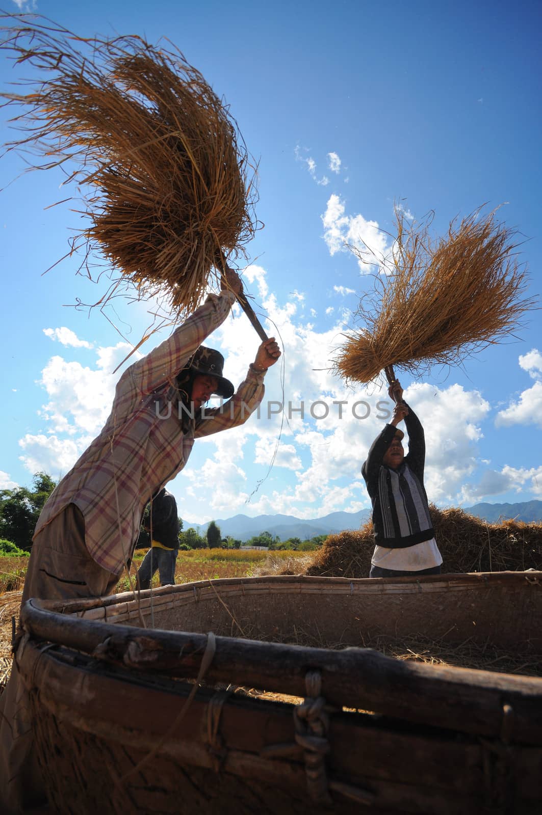 Farmer life in northern of Thailand by letoakin