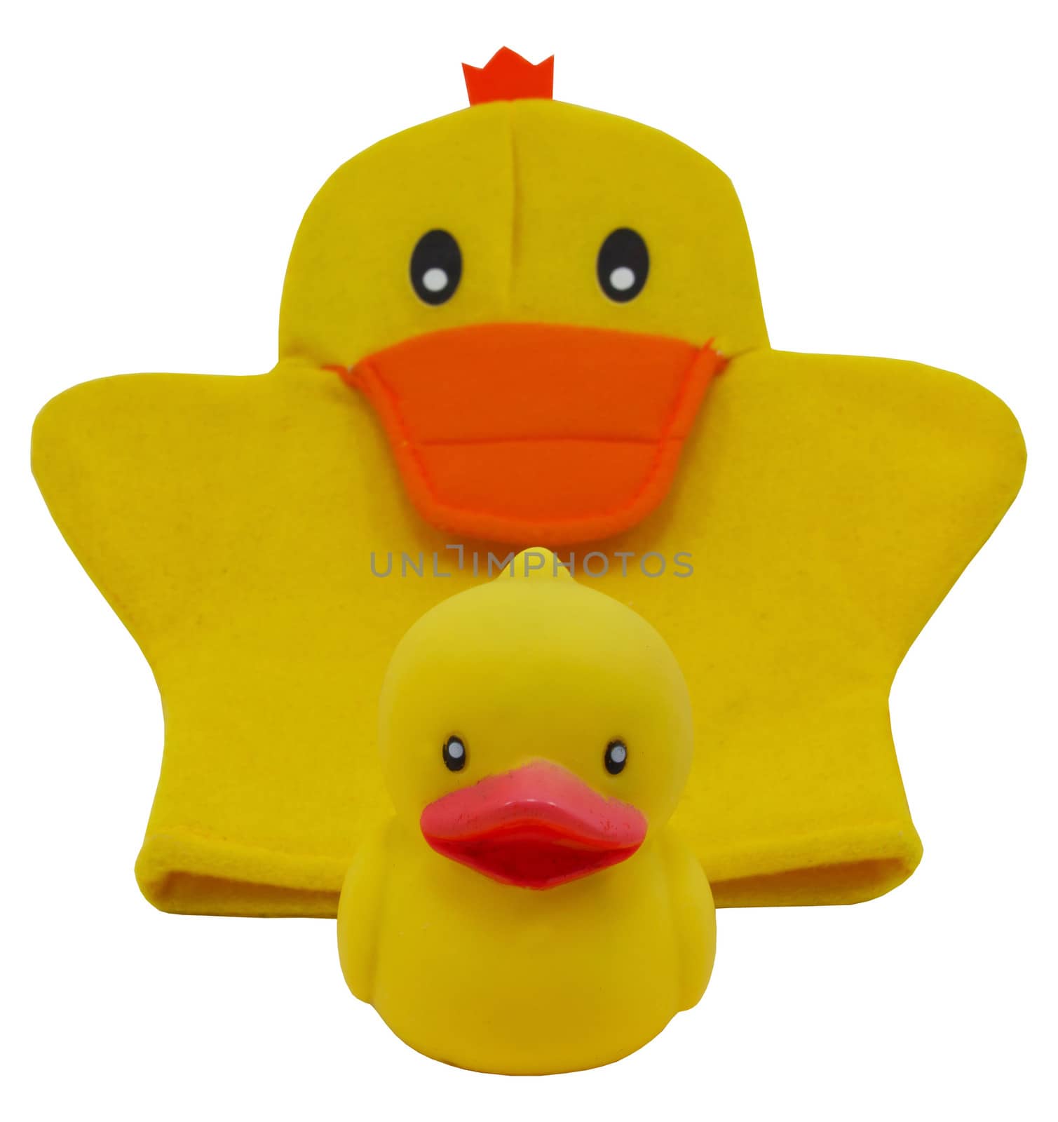 Two yellow rubber duck isolated on white by sutipp11