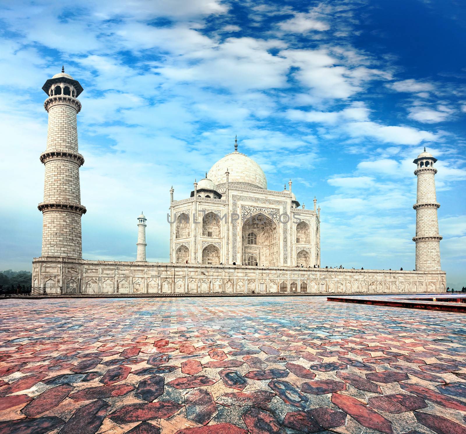 Taj Mahal  by vladimir_sklyarov