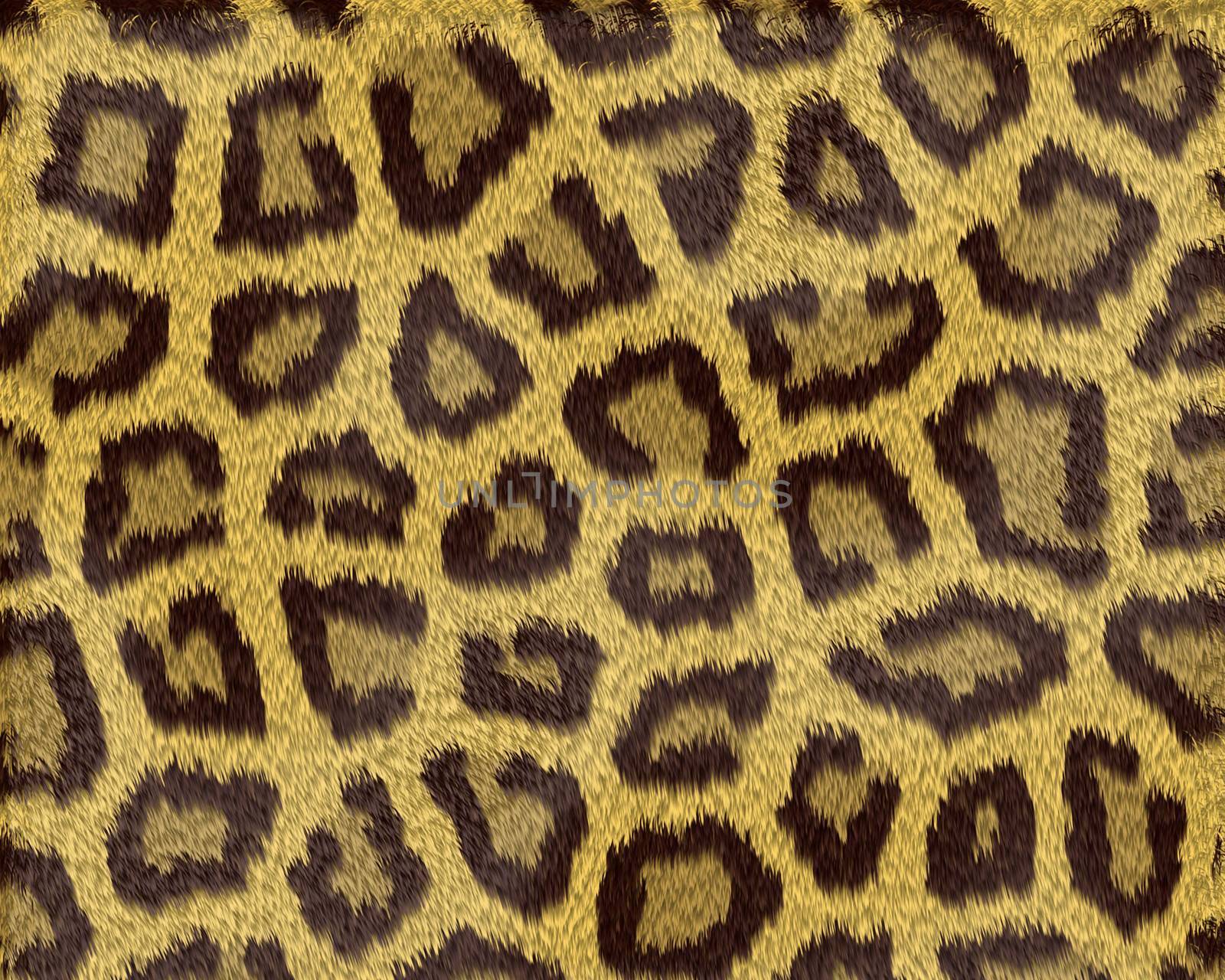 Texture of a short sand color leopard fur by sfinks