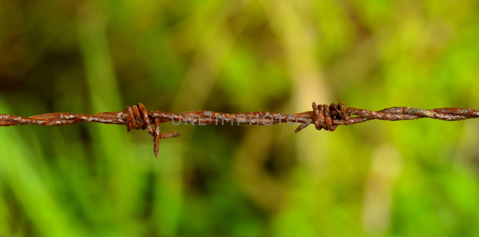 Close-up Of A Rusty Barbed Wire Fence In The Countryside