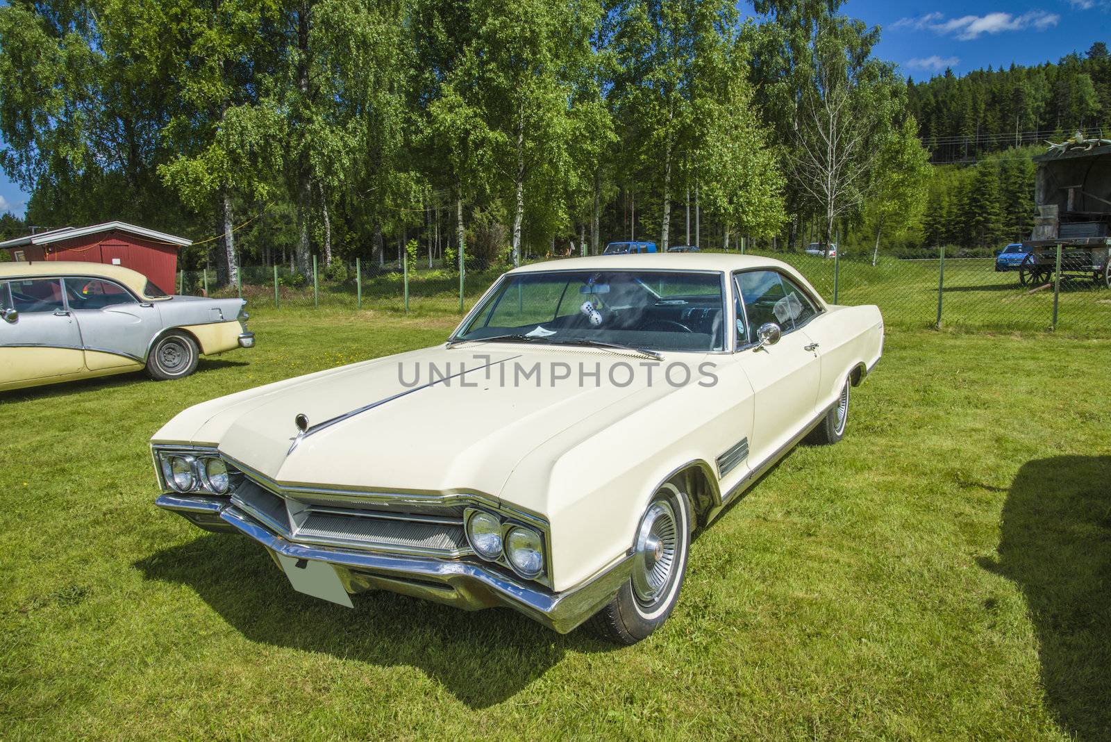 Classic Amcar, 1966 Buick Wildcat. The image is shot by Dawn at the Farm in Halden, Norway.