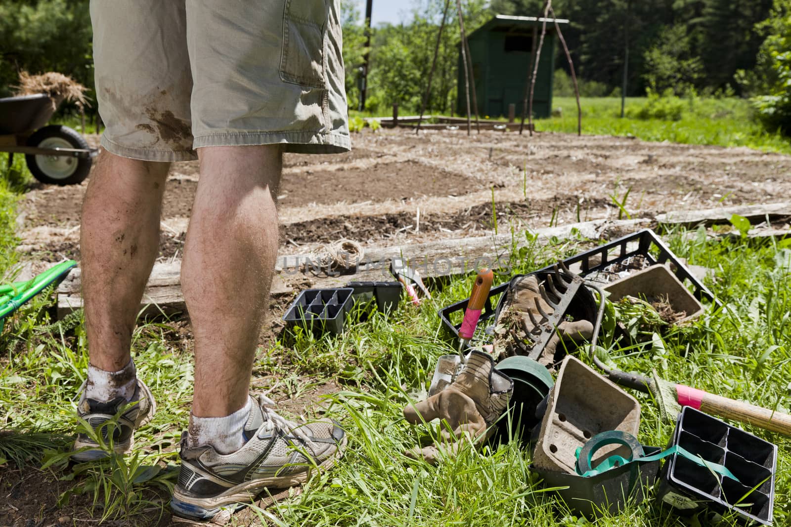 A young man's legs are dirty after gardening.