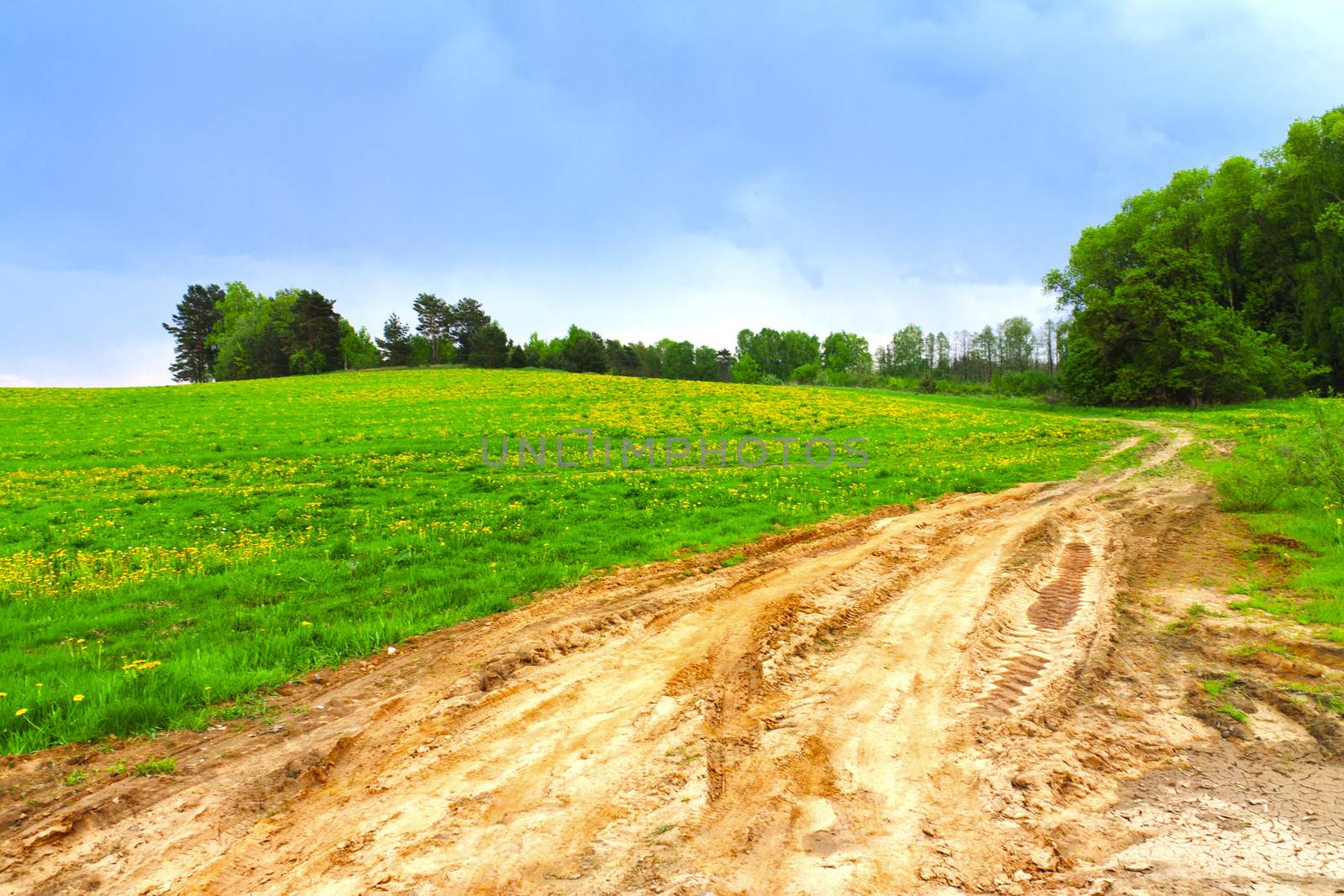 Country road through a field summer landscape hdr