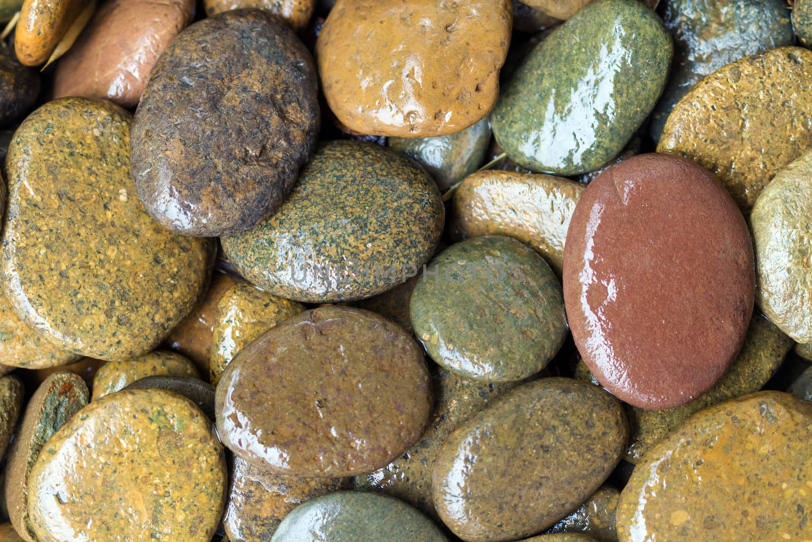 round wet colored stones background near river