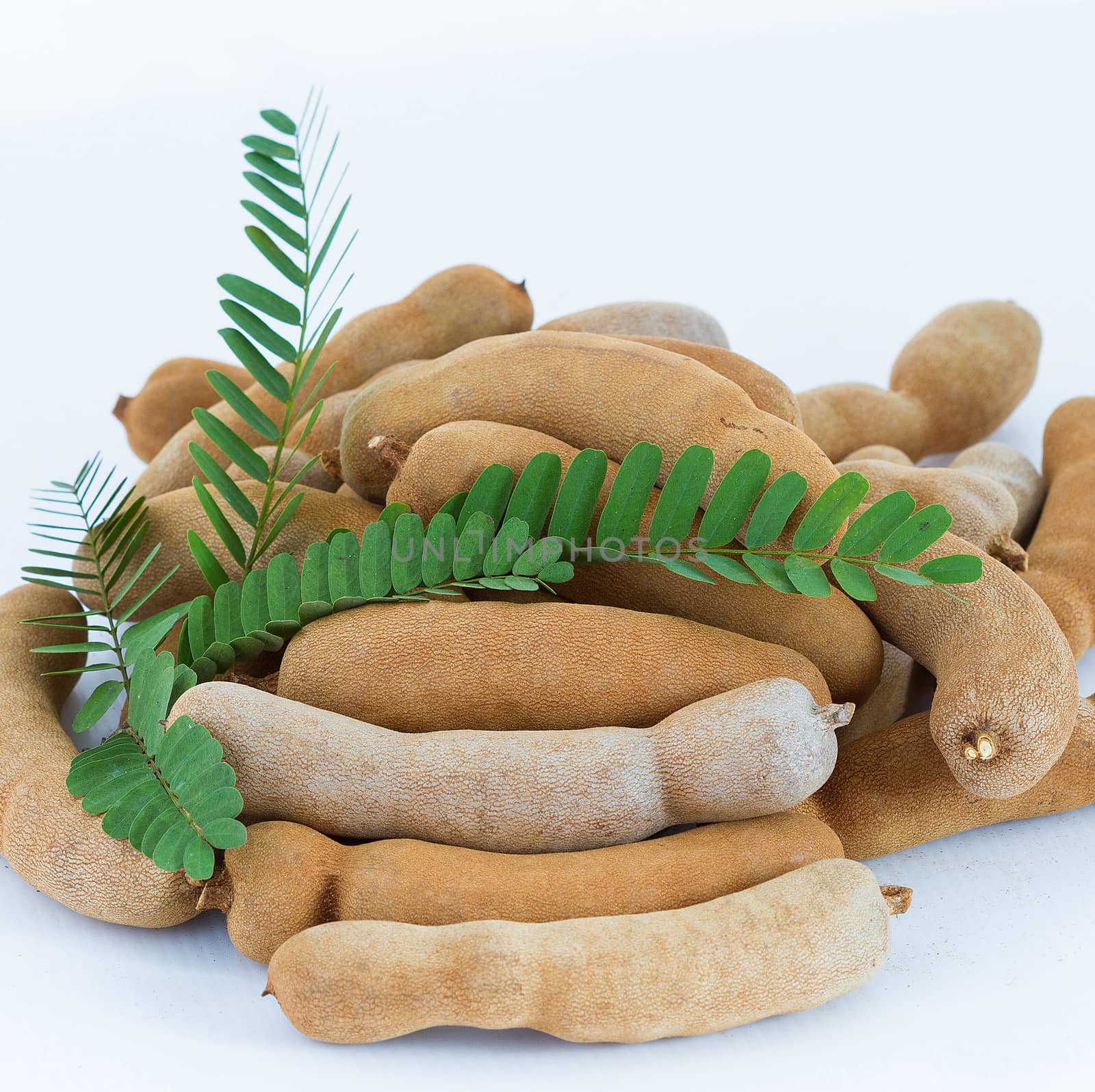 fresh tamarind with leaf