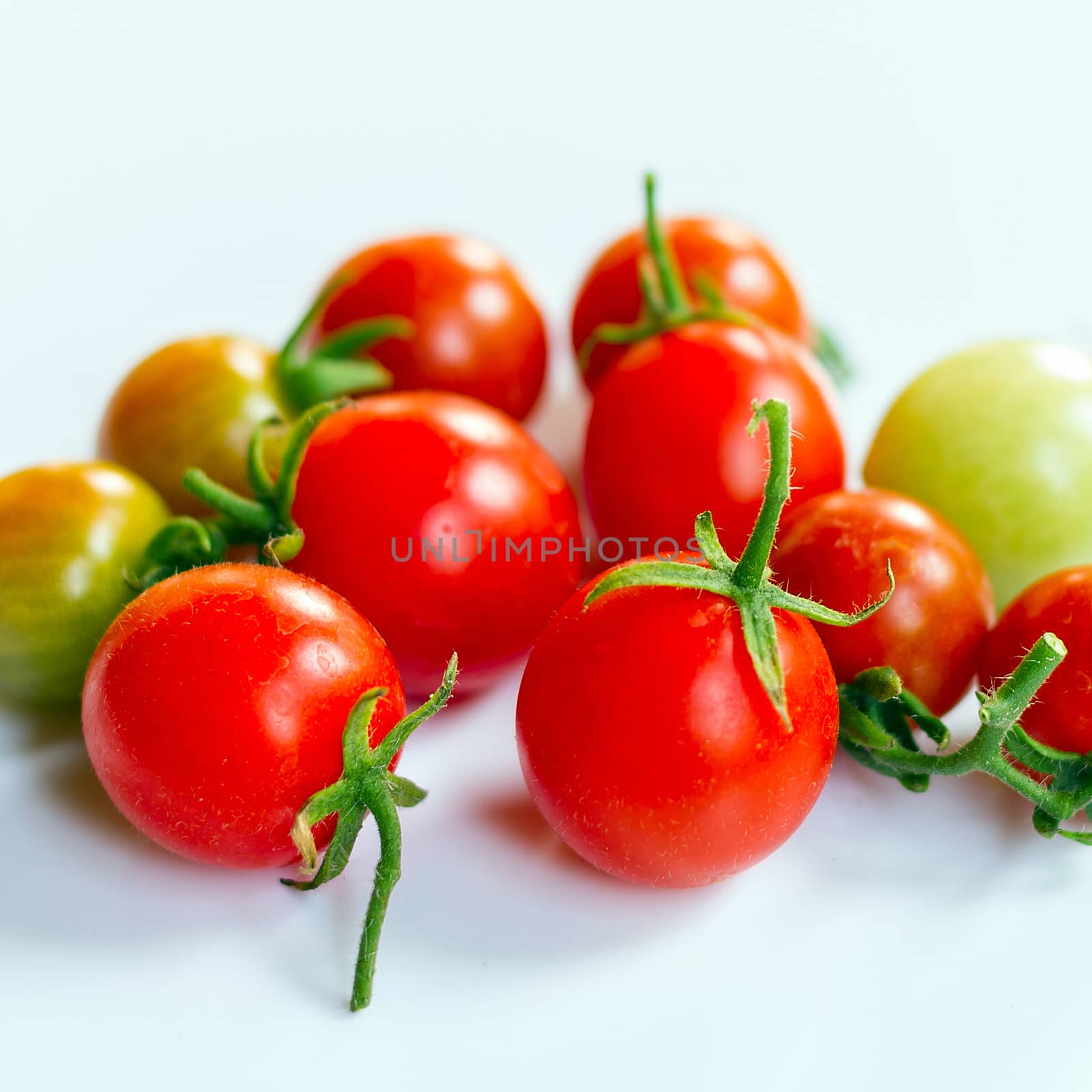 Group of tomatoes vivid color
