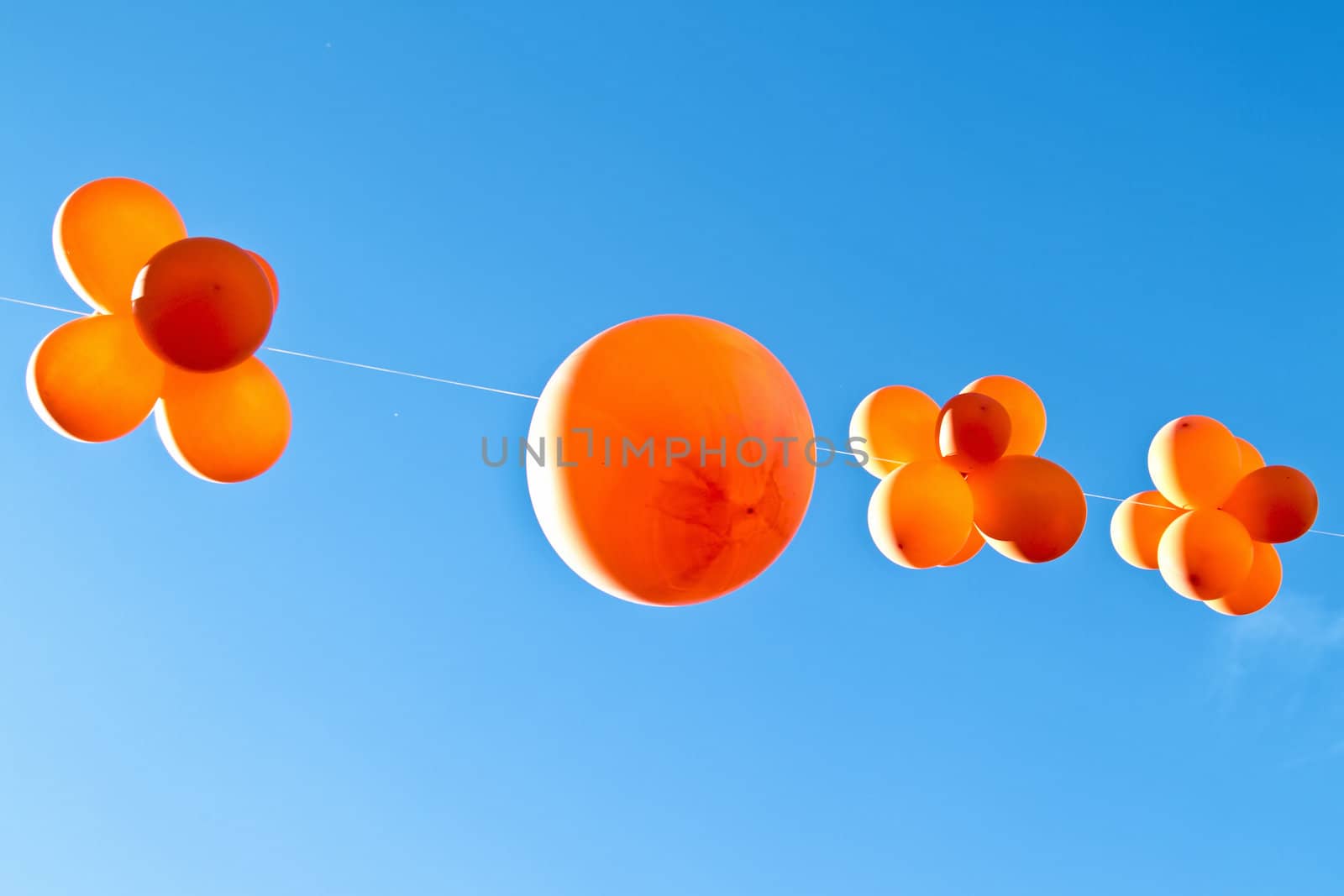 Orange balloons to celebrate queensday in the Netherlands