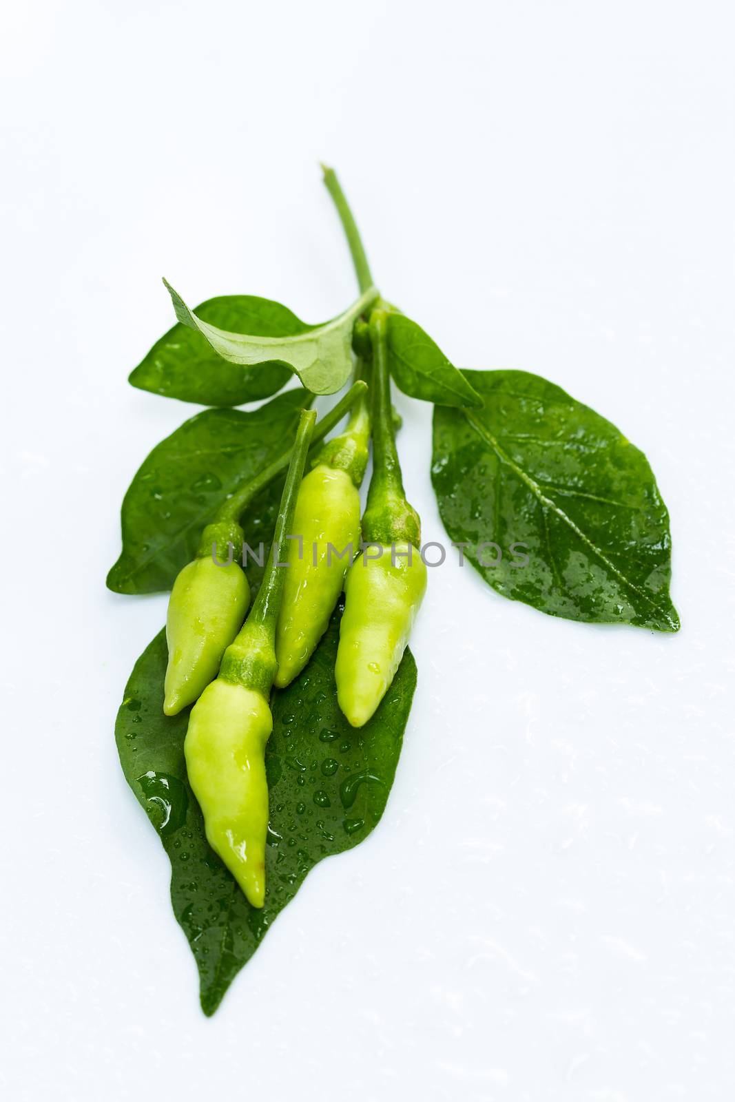 fresh green guinea-pepper (bird-chilli) with leaf on white backgroud