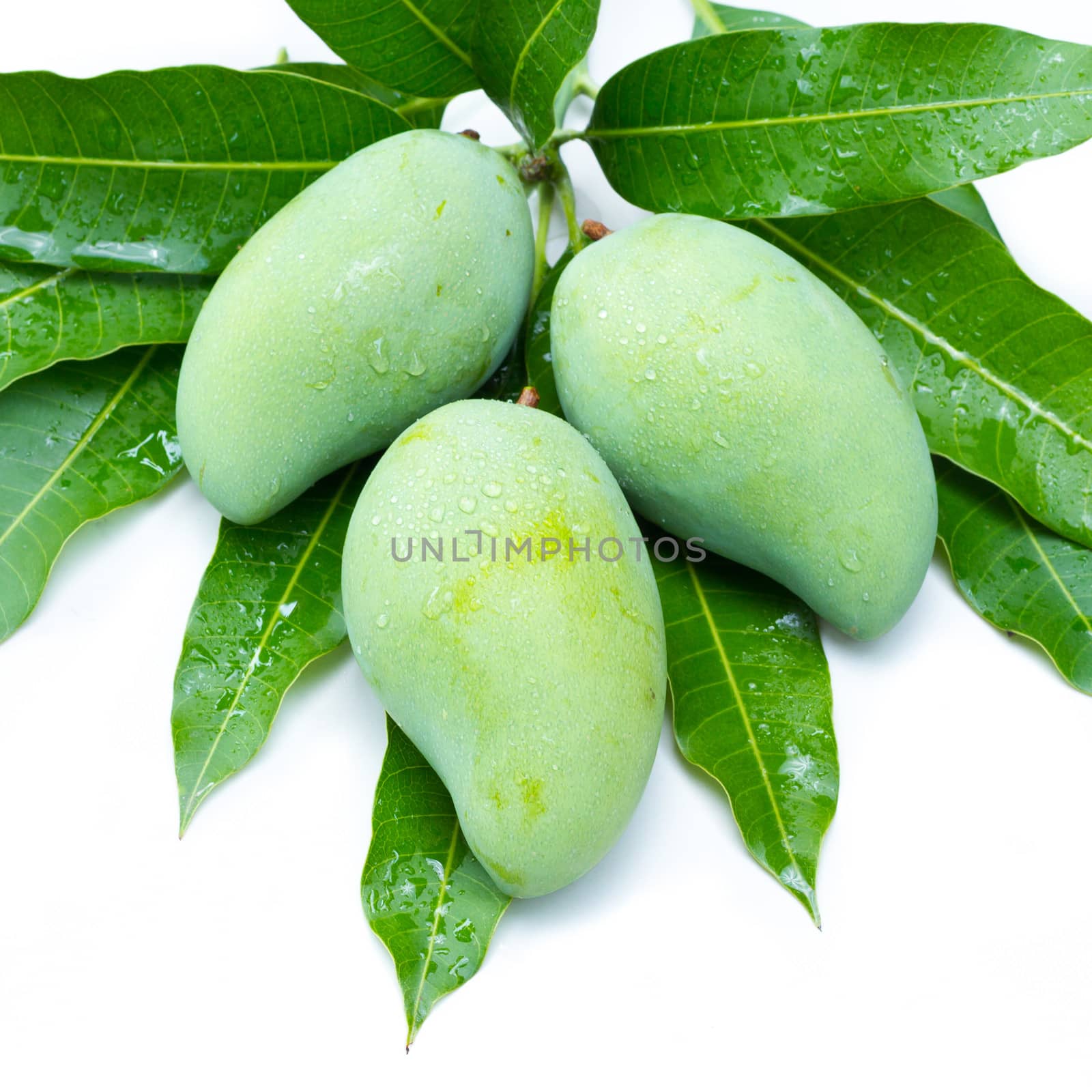 green raw mango and leaf on a white background