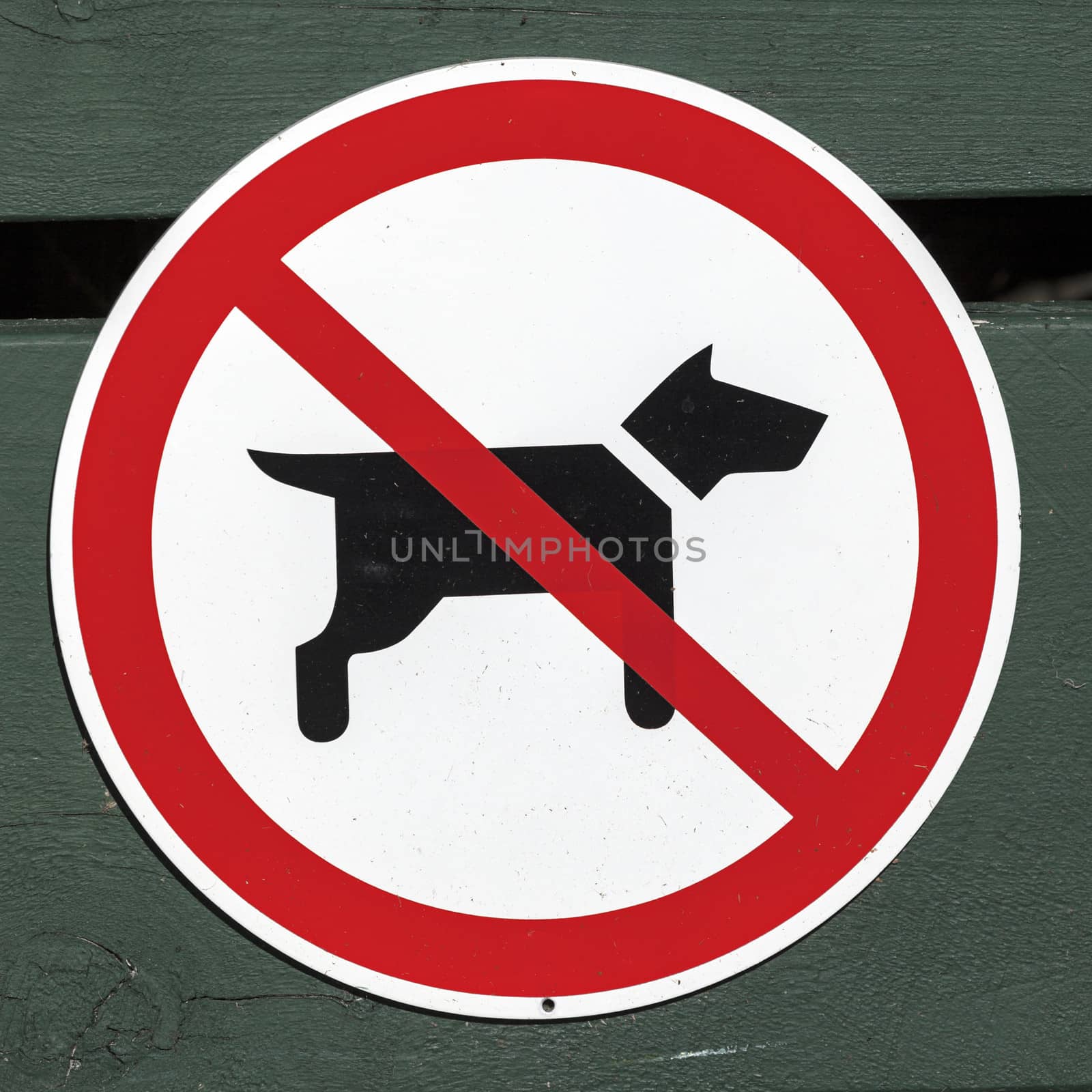 No dogs sign by benkrut
