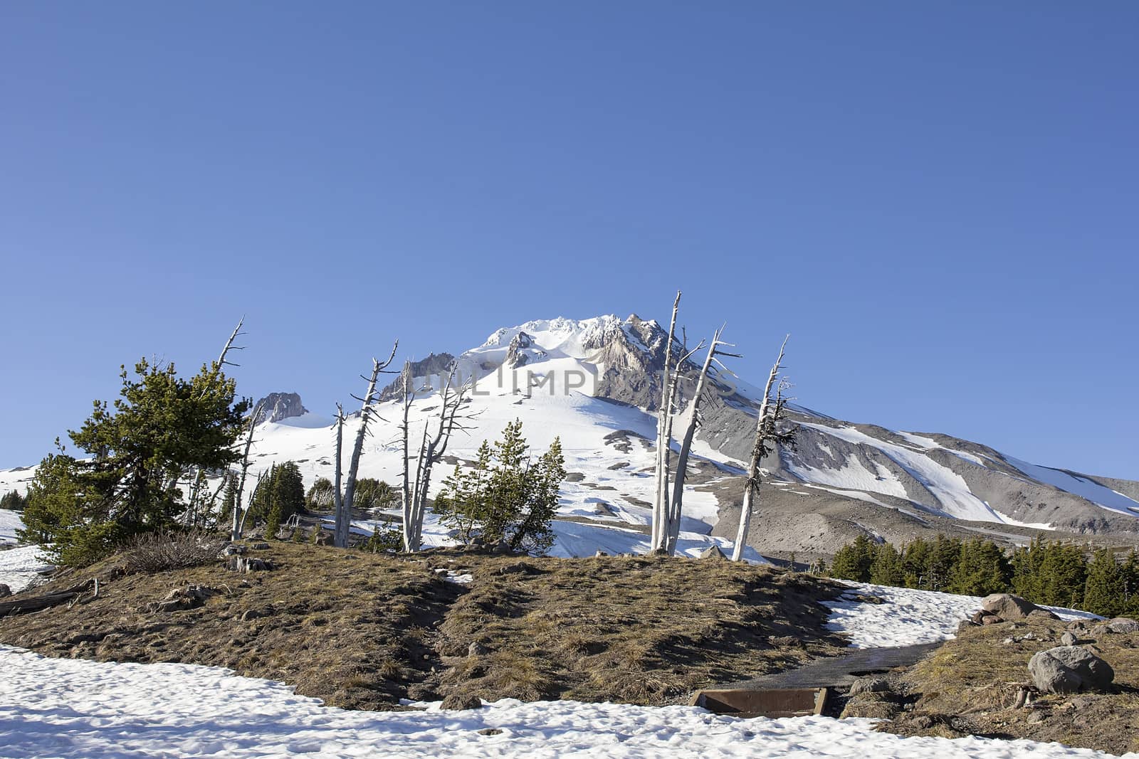 Mount Hood with Clear Blue Sky in Oregon