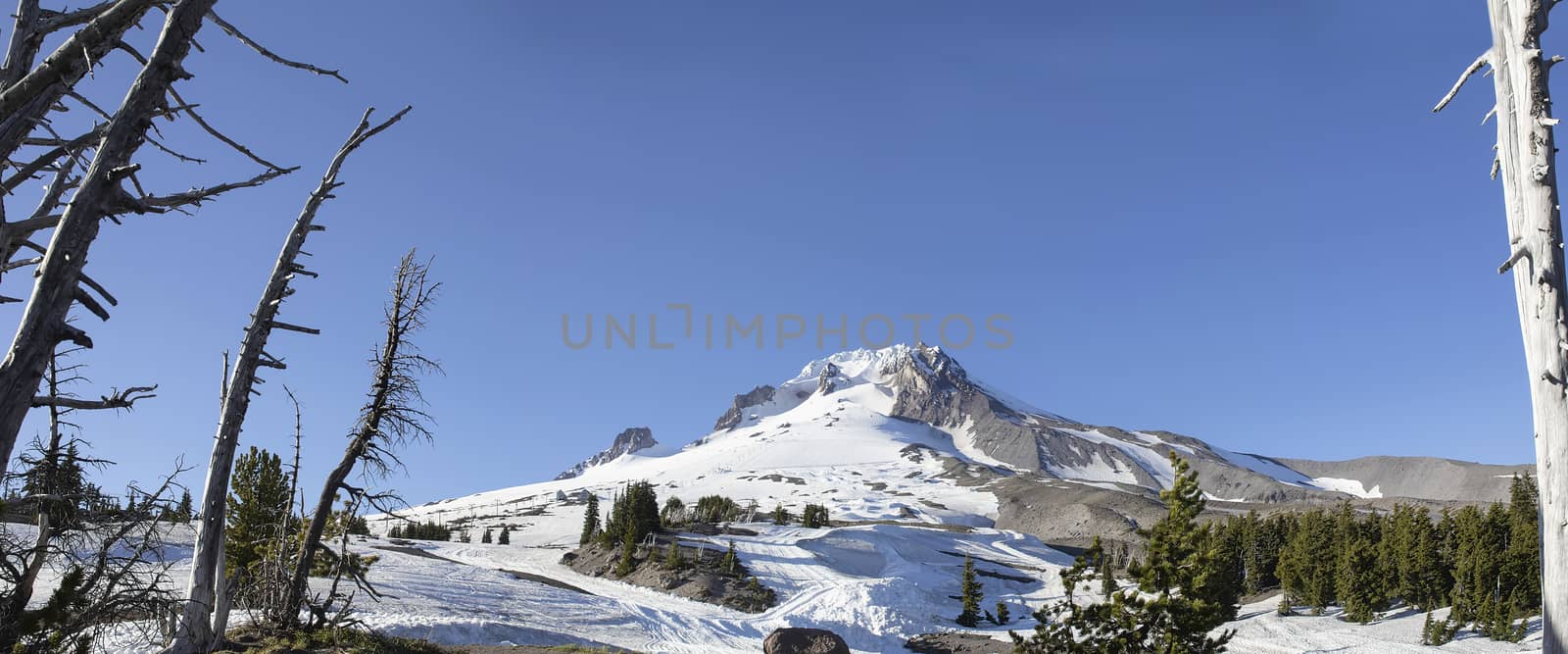 Mount Hood with Clear Blue Sky in Oregon Panorama