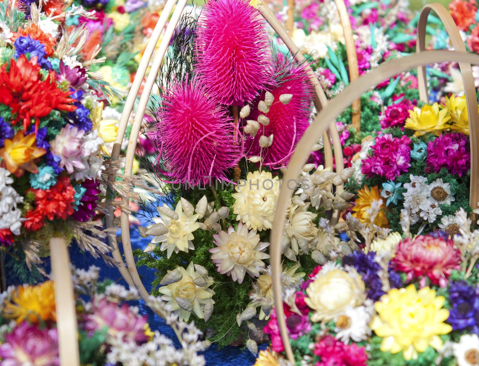 Bouquets of decorative dried bright flowers closeup