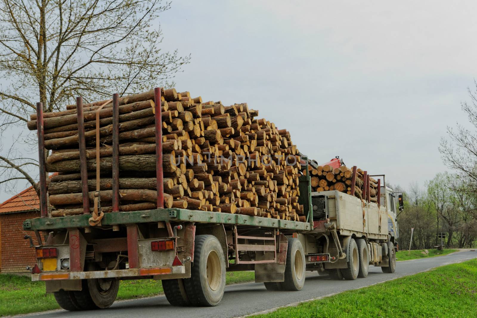 timber truck carrying