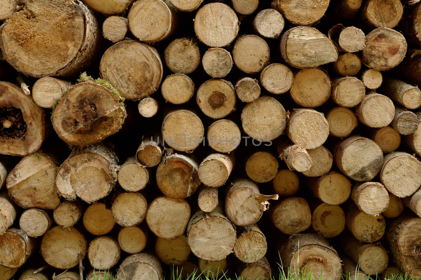 Wood stack by NagyDodo