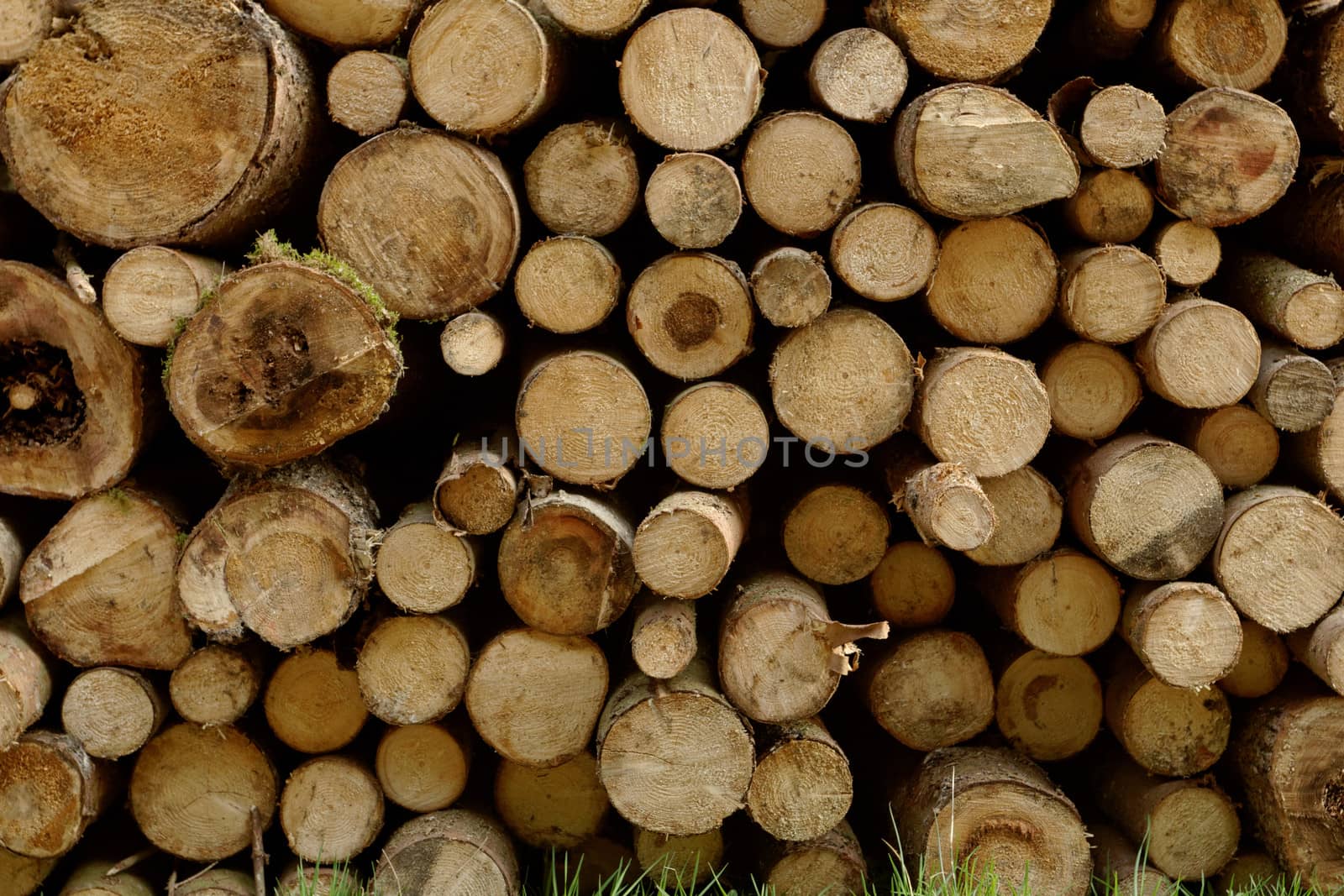 Pile of chopped fire wood prepared for winter