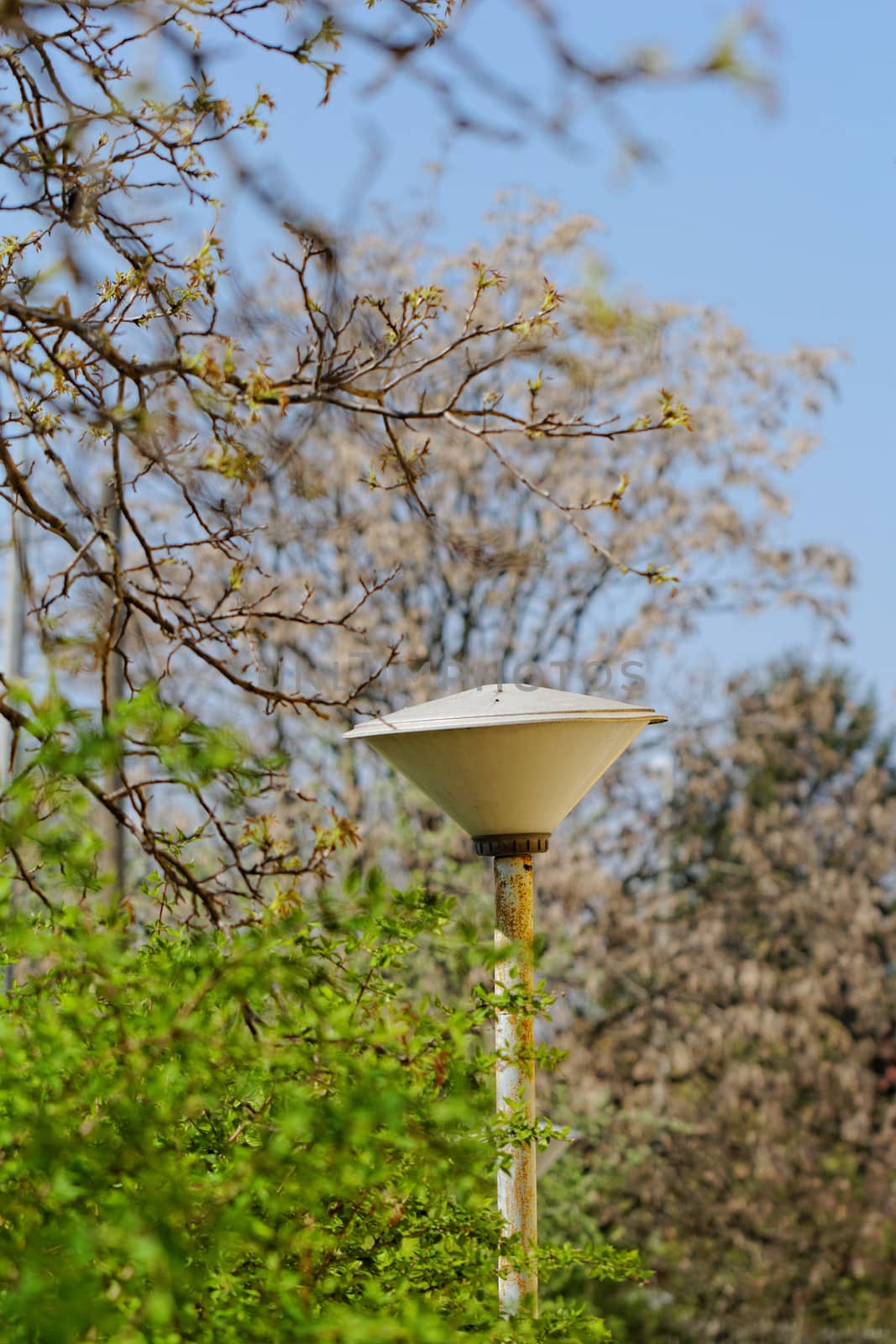 Street lamp under the blue sky