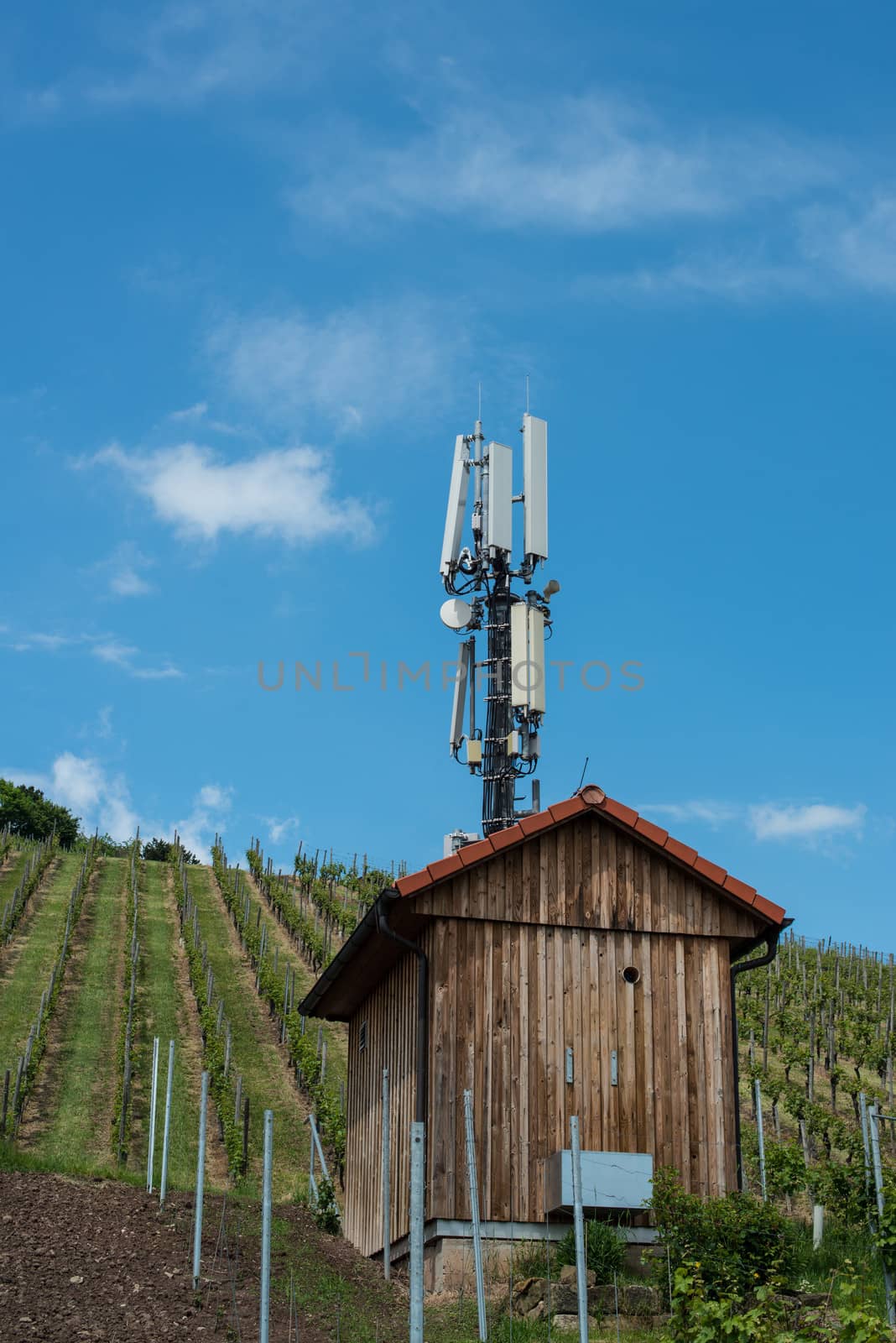 Telecommunication mast in a vineyard by franky242